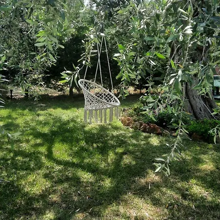 Elia Case de vacanță *