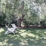 Elia 스칼라소티로스