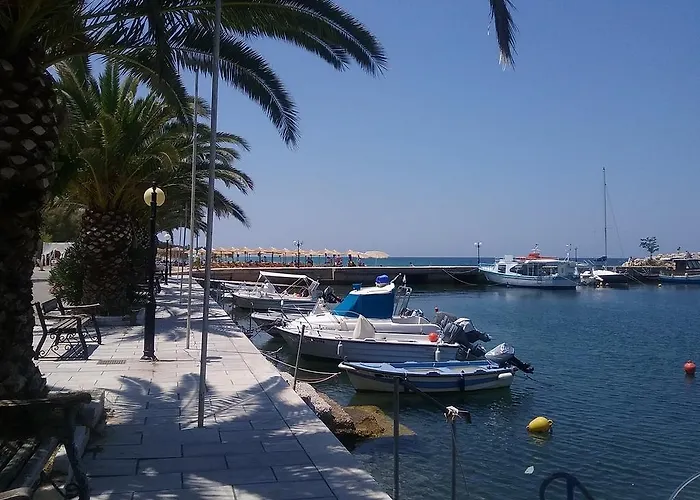 Elia * 斯卡拉索提罗斯