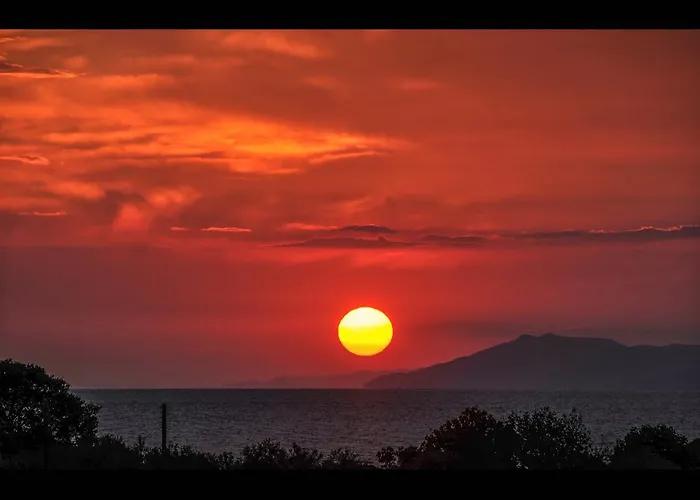 Elia * 斯卡拉索提罗斯